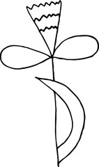 Single hand drawn herbal elements Doodle vector illustration for logo and greeting card