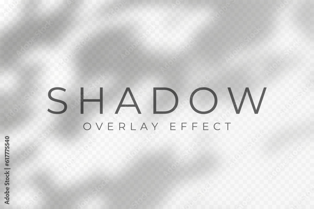Leinwandbilder Shadow overlay effect. Transparent soft light and shadows from plant branches, leaves and foliage. Mockup of abstract transparent shadow overlay effect and natural lightning scene. Vector