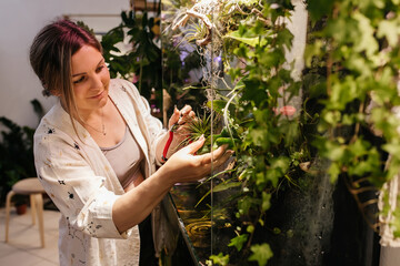 woman caring for a garden terrarium in a glass container