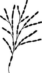  Single hand drawn herbal elements Doodle vector illustration for logo and greeting card