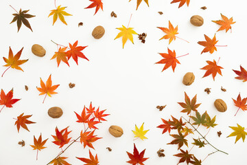 Autumnal frame with leaves and walnut on white background. Flat lay, top view. Thanksgiving day concept.