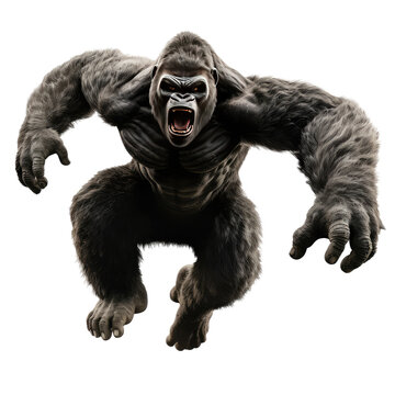kingkong looking isolated on white