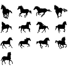 Horse SVG, Horse Bundle SVG, Horse logo, Animals Svg, Running Horse, Horse Vector Animal Illustration Bundle, Horse Designs Svg, Horse Silhouette, Horse Monogram svg, Horse Clipart,  