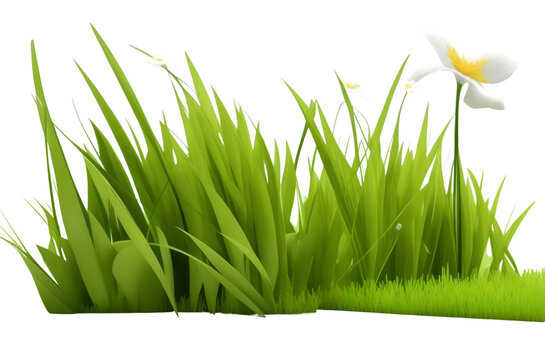 hyperrealistic Grass meadow flowery shapes cut out 3d rendering transparent background (PNG)