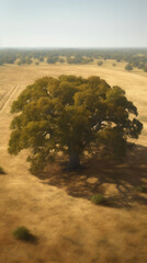 Tranquil Grassland with a Lone Oak. Generative AI