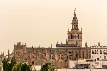 Fototapeta premium Catedral de Sevilla y Giralda