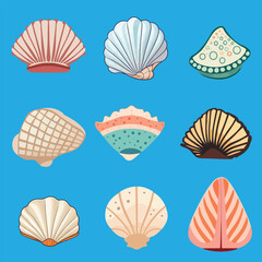 A Collection of Vector Seashells
