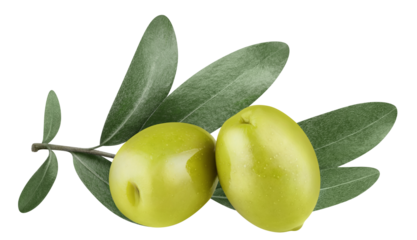 Delicious olives cut out