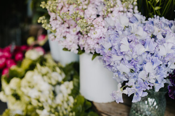 Beautiful colorful flowers in a Flower shop.