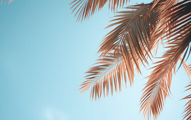 Palm tree leaves on blue sky background created with Generative AI technology