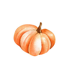 Clipart. Hand drawn orange pumpkin isolated on white background. Watercolor illustration. Poster, postcard, vegetables.