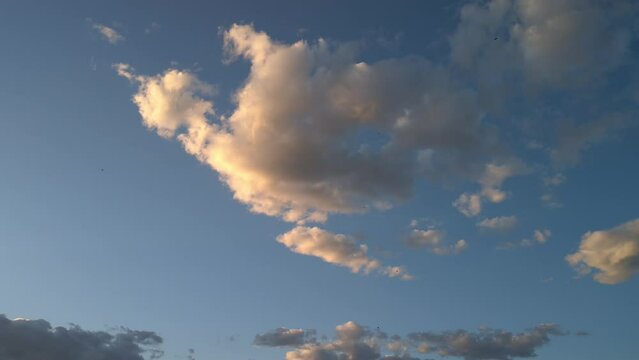  Birds flying in the beautiful sunset in a masterly way