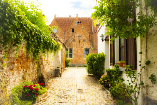 Empty Cobblestone street or laneway in the Groot Begijnhof, the large beguinage of the medieval city of Mechelen, Flanders, Antwerp, Belgium . High quality photo
