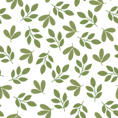 Green leaf seamless pattern. Fresh herbal allover print. Hand drawn leaves on white background