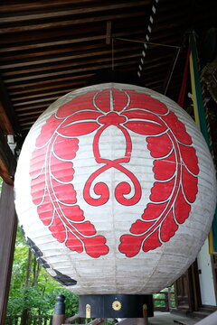 大提灯　大きい提灯