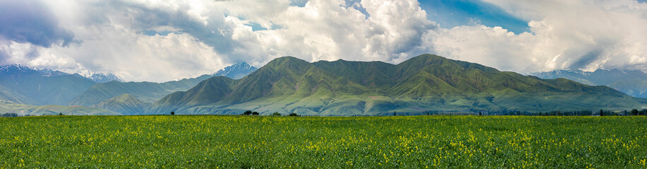 Fototapeta premium Panorama of the mountains of Kyrgyzstan and Ala Archa National Park.