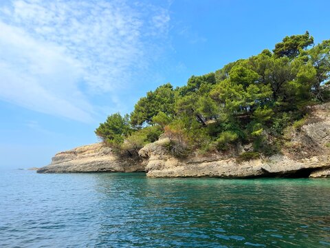 Sea coast overgrown pine coast in summer Montenegro. 