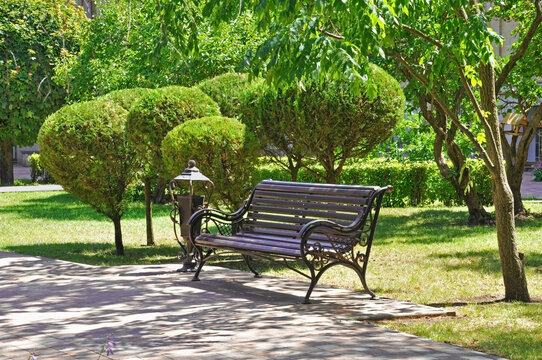 Beautiful bench in the city park against the background of trees