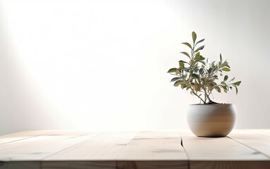 Modern Interior Design Concept with White Wall Background. Tabletop for your product with Tree Pot and Beautiful Plants as Decoration in Room