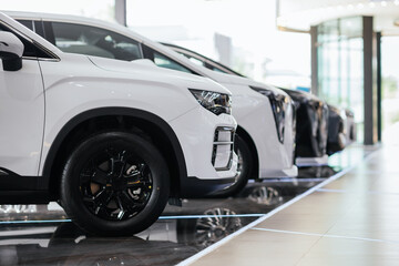 New cars in the showroom show waiting for sale to customer. Luxury modern cars for sale. Cars waiting for sales of branch dealers and new car service center. - obrazy, fototapety, plakaty