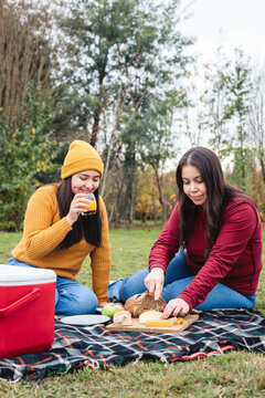 Girl friends having picnic in nature