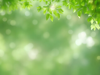Fototapeta na wymiar Close up of beautiful nature view green leaf on blurred greenery background under sunlight with bokeh generated by ai