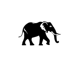Fototapeta na wymiar elephant black and white vector illustration