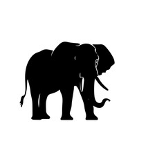 elephant black and white vector illustration