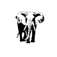elephant black and white vector illustration
