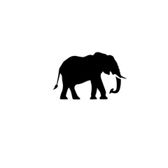 Fototapeta premium elephant black and white vector illustration
