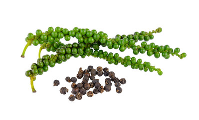 peppercorn on transparent png