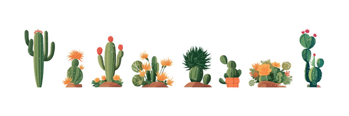Cactus set flat cartoon isolated on white background. Vector illustration