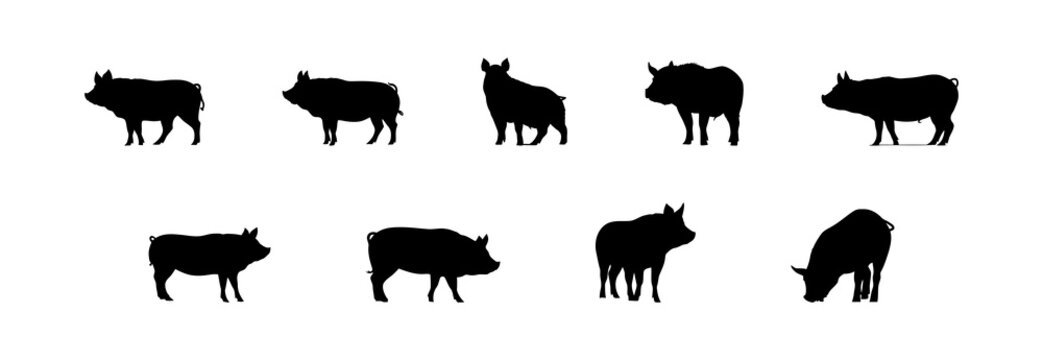 Black silhouette pig set flat cartoon isolated on white background. Vector illustration