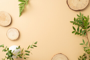 Simple natural design concept. Top view photo of empty space surrounded by round wooden plates and...