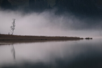 fog on the lake
