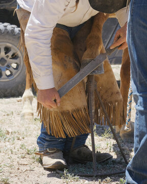 Cowboy farrier for equine horse hoof care concept closeup.