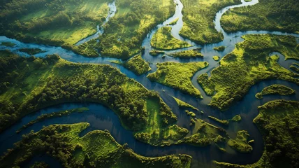 Foto op Plexiglas Aerial view of a river delta with lush green vegetation and winding waterways. Generative AI © Aghavni