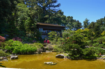 USA California May 2023 Hakone Gardens in Saratoga