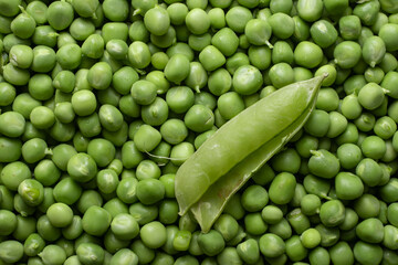 Fototapeta na wymiar Green Peas. Green background. Green pea top view copy space. Healthy vegetarian food