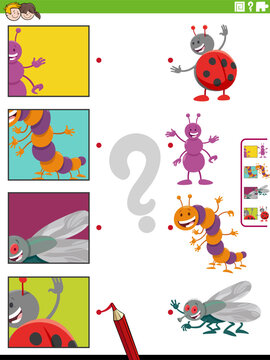 match cartoon insects and clippings educational activity