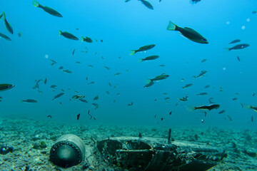 Fototapeta na wymiar submarine debris on ocean bed with shoal of fish swimming free