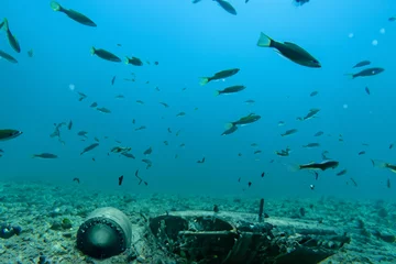 Foto auf Acrylglas Schiffswrack submarine debris on ocean bed with shoal of fish swimming free