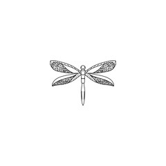 Black dragonfly on white background isolated. Hand drawn icon