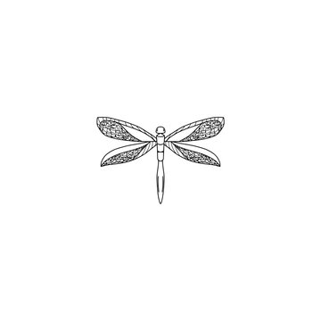 Black dragonfly on white background isolated. Hand drawn icon