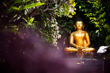 Buddha statue with closed eyes in the jungle