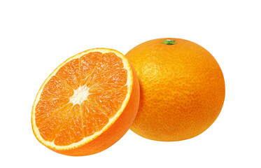 オレンジのイラスト リアル