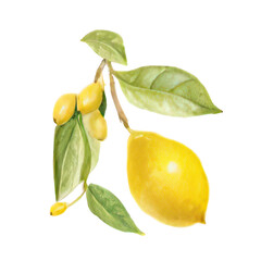 lemon with leaves