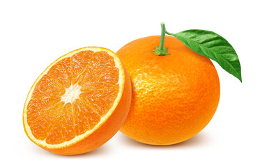 オレンジのイラスト リアル