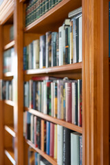 Library full of books of different sizes and colors in the interior of a house.