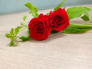 red rose on wooden background